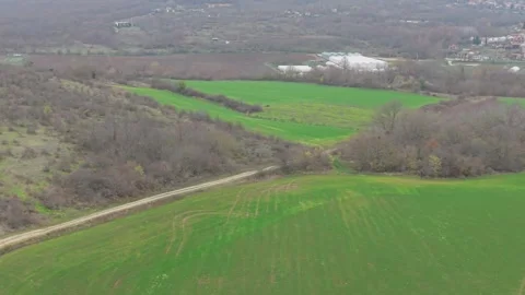 Aerial drone view of green fields, rolling hills and rural landscape Stock Footage 323321902