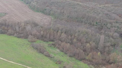 Aerial drone view of green fields, rolling hills and rural landscape Video stock 323321905