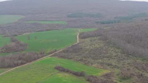 Aerial drone view of green fields and winding rural forest landscape Stock Footage 323322106