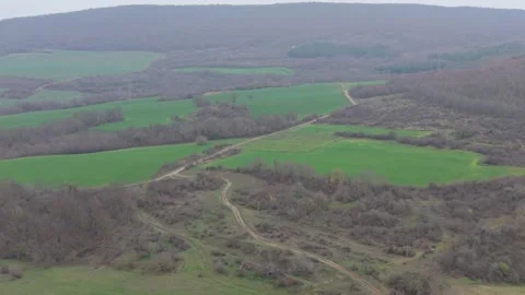 Aerial drone view of green fields and winding rural forest landscape Stock Footage 323322107