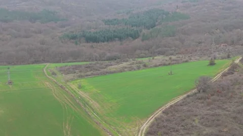 Aerial drone view of green fields, forest edges and rural landscape Stock Footage 323322138