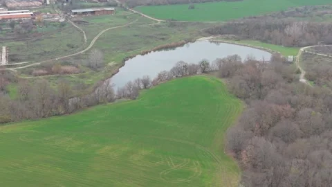 Aerial drone view of green fields, calm lake and winter forest Stock Footage 323322248