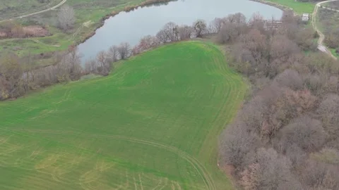 Aerial drone view of green fields, calm lake and winter forest Stock Footage 323322300