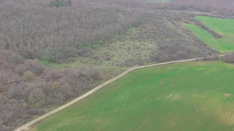 Aerial drone view of green fields, rolling hills and forest landscape Stock Footage 323322309
