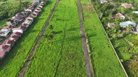 Aerial Drone View of Green Fields and Small Village Houses Video stock 334377231