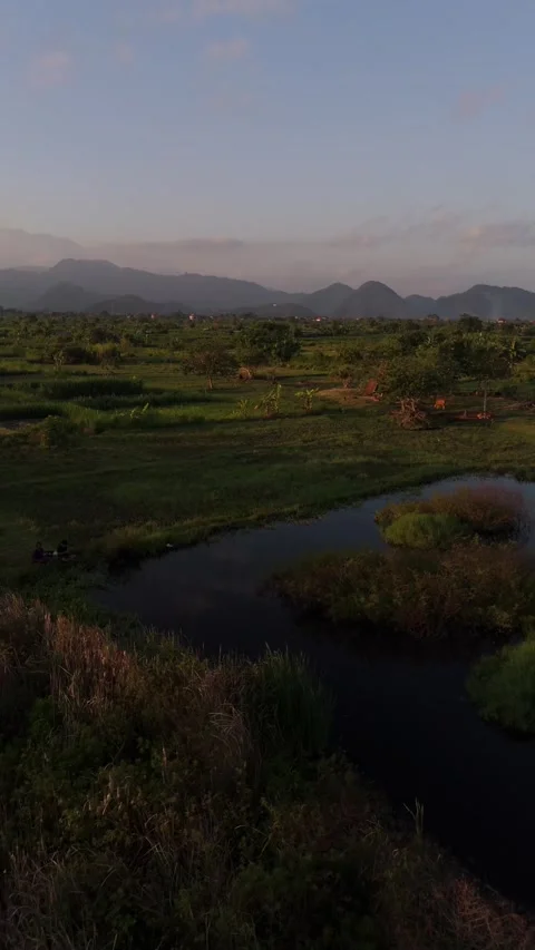 Aerial Drone View of Green Fields and Hazy Mountains at Sunrise, East Bali Video stock 337229454