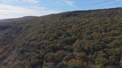 Aerial drone view of green forest hills under sunny sky Stock Footage 320453404