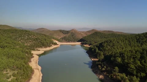 Aerial Drone View of a Green Forest and Serene Lake Stock Footage 340109787