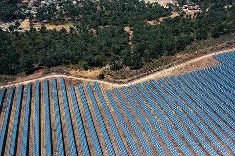 Aerial drone view of ground mounted solar panel farm Photos