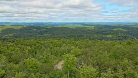 Aerial drone view high above the forest on a cloudy day moving forward Stock-Footage 170404574