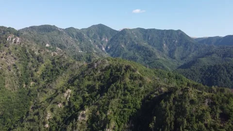 Aerial drone view of high mountains covered in forest. Mountain massif. Video stock 340841368