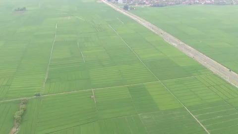Aerial Drone view high of Paddy Fields with Road and Fog in Indonesian Lands Stock Footage