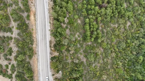 Aerial drone view, horizontal movement of drone by asphalt road Stock Footage 289580499