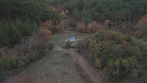 Aerial Drone View of a House Hidden in the Forest | Scenic Woodland Cabin Stock Footage 340084894