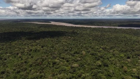 Aerial Drone View of Ilha do Combu Amazon River Island in Para Brazil Stock Footage 335632966