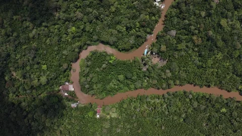 Aerial Drone View of Ilha do Combu Amazon River Island in Para Brazil Stock Footage 335632967