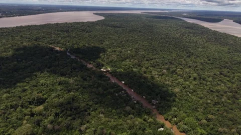 Aerial Drone View of Ilha do Combu Amazon River Island in Para Brazil Stock Footage 335633003