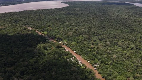 Aerial Drone View of Ilha do Combu Amazon River Island in Para Brazil Stock Footage 335633014