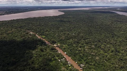 Aerial Drone View of Ilha do Combu Amazon River Island in Para Brazil Stock Footage 335633023