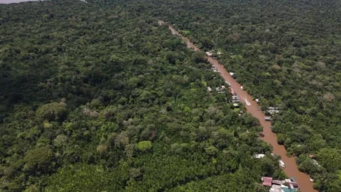Aerial Drone View of Ilha do Combu Amazon River Island in Para Brazil Stock Footage 335633040