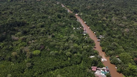 Aerial Drone View of Ilha do Combu Amazon River Island in Para Brazil Stock Footage 335633062