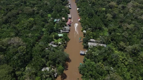 Aerial Drone View of Ilha do Combu Amazon River Island in Para Brazil Stock Footage 335633068