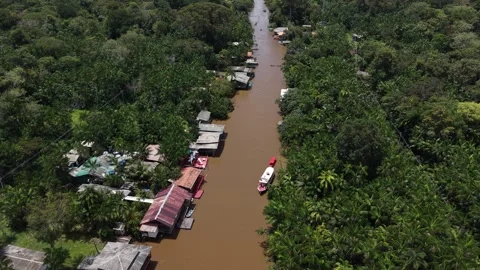 Aerial Drone View of Ilha do Combu Amazon River Island in Para Brazil Stock Footage 335633090