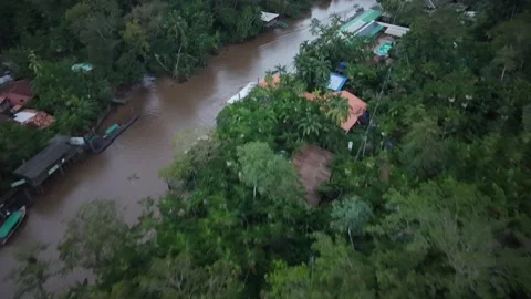 Aerial Drone View of Ilha do Combu Amazon River Island in Para Brazil Stock Footage 335633114