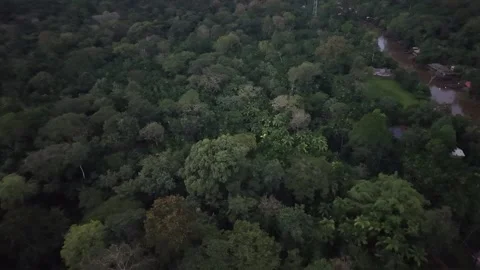 Aerial Drone View of Ilha do Combu Amazon River Island in Para Brazil Stock Footage 335633175
