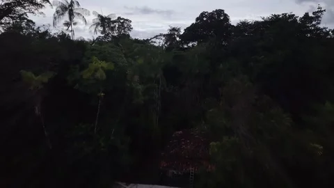 Aerial Drone View of Ilha do Combu Amazon River Island in Para Brazil Stock Footage 335633205