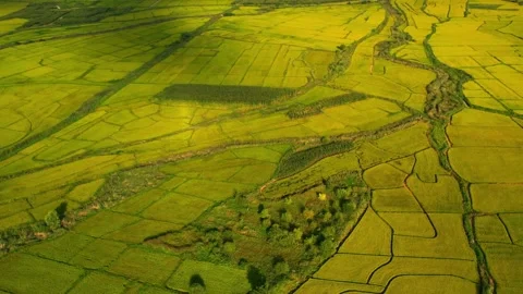 Aerial drone view Image of beautiful Terraced rice field in water season and Stock-Footage 256734859