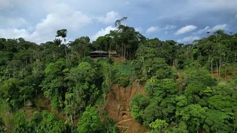 Aerial drone view of Induchuris viewpoint in the Amazon rainforest of Puyo,.. Stock-Footage 277960001