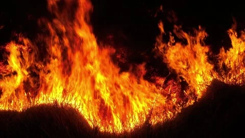 Aerial drone view of intense nighttime wildfire with towering flames. Video stock 333355773