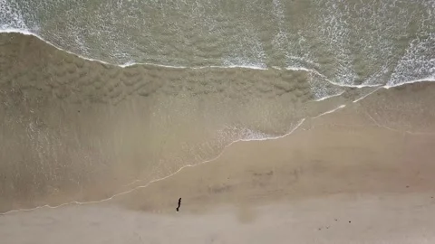 Aerial Drone View of the Joys of Jogging on the Beach Stock Footage 302757604
