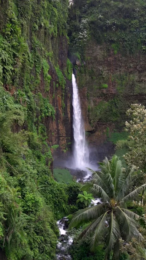 Aerial drone view of Kapas Biru waterfall in lush tropical jungle in Indonesia Video stock 336561195