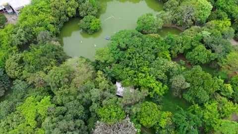 Aerial Drone View of Lake Surrounded by Lush Forest Stock Footage 307958772