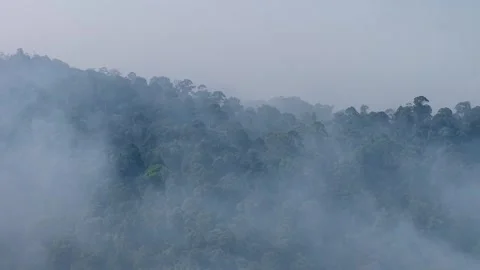 Aerial drone view of landfill fire and smoke over forest 스톡 동영상 337543087
