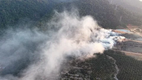 Aerial drone view of landfill fire spreading smoke over forest 스톡 동영상 337730619