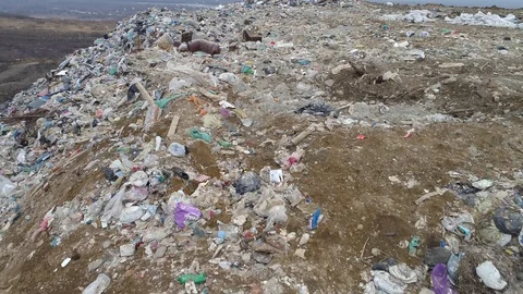 Aerial drone view of large garbage landfill Stock Footage 125271951