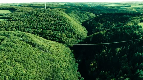 Aerial Drone View of a large hanging suspension bridge in green summer 스톡 동영상 122376367