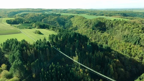 Aerial Drone View of a large hanging suspension bridge in green summer 스톡 동영상 122377338