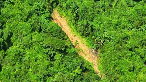 Aerial drone view of a large landslide. Stock Footage 320040907