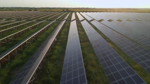 Aerial drone view into large solar panels at a solar farm at summer sunset Stock Footage 157891981