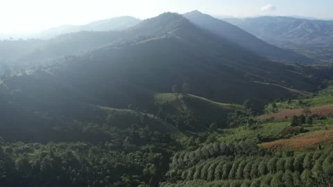 Aerial drone  view with light of sun in morning of agriculture mountain Stock Footage 166461527