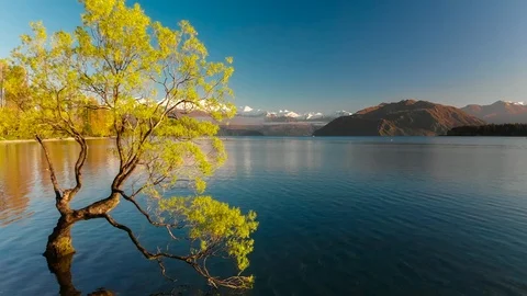 Aerial drone view of The Lonely tree of Lake Wanaka, New Zealand Stock Footage 96362816