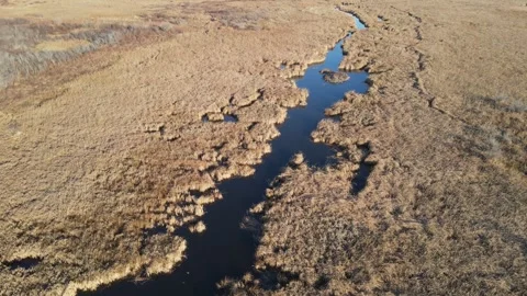 An aerial drone view looking down at a large marsh with a slow-moving stream.  Stock Footage 275833787