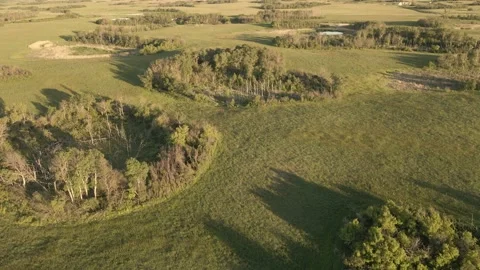 Aerial drone view looking down at small ponds surrounded by trees in a open farm Stock Footage 313544044