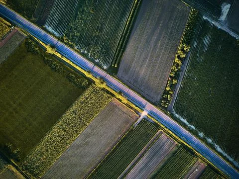 Aerial drone view looking down on a rural road with a car driving along it. On a Stock Photos