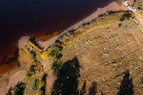 Aerial drone view looking down on a historic coastal cemetery beside the sh.. Foto stock