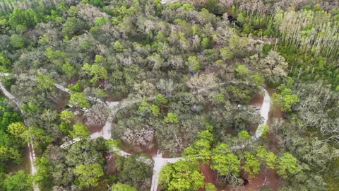 Aerial Drone View Of Looping White Gravel Walking Trails... 库存影片 331821014